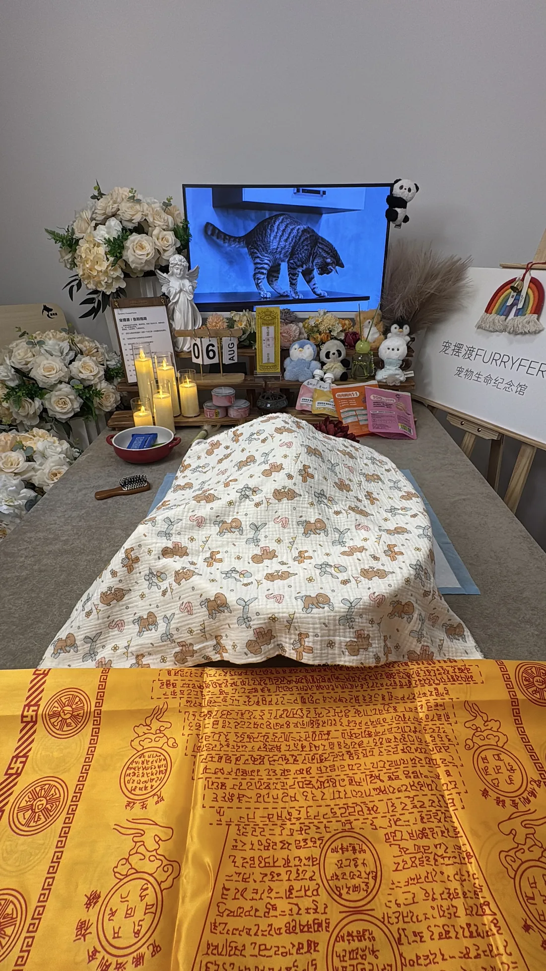 呼和浩特宠物告别仪式中的鲜花与纪念照片